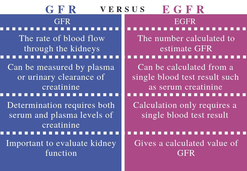 thetole acupuncture herbal medical centre kuala lumpur malaysia